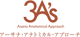 3A’s（スリーエーズ）Asana Anatomical Approachアーサナ・アナトミカル・アプローチ